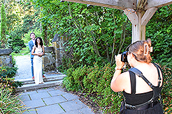 LOVE IN BLOOM AT WISTERIA HALL